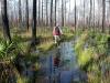 Slogging Through the Bog