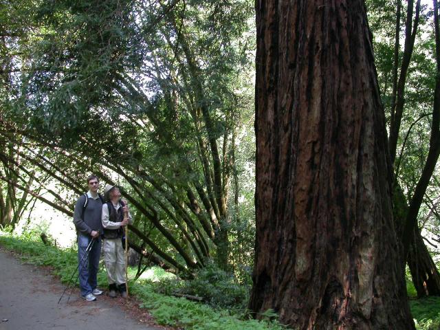 Hike at Sam Taylor State Park