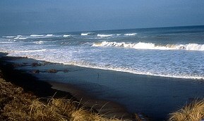 Nauset Light Beach