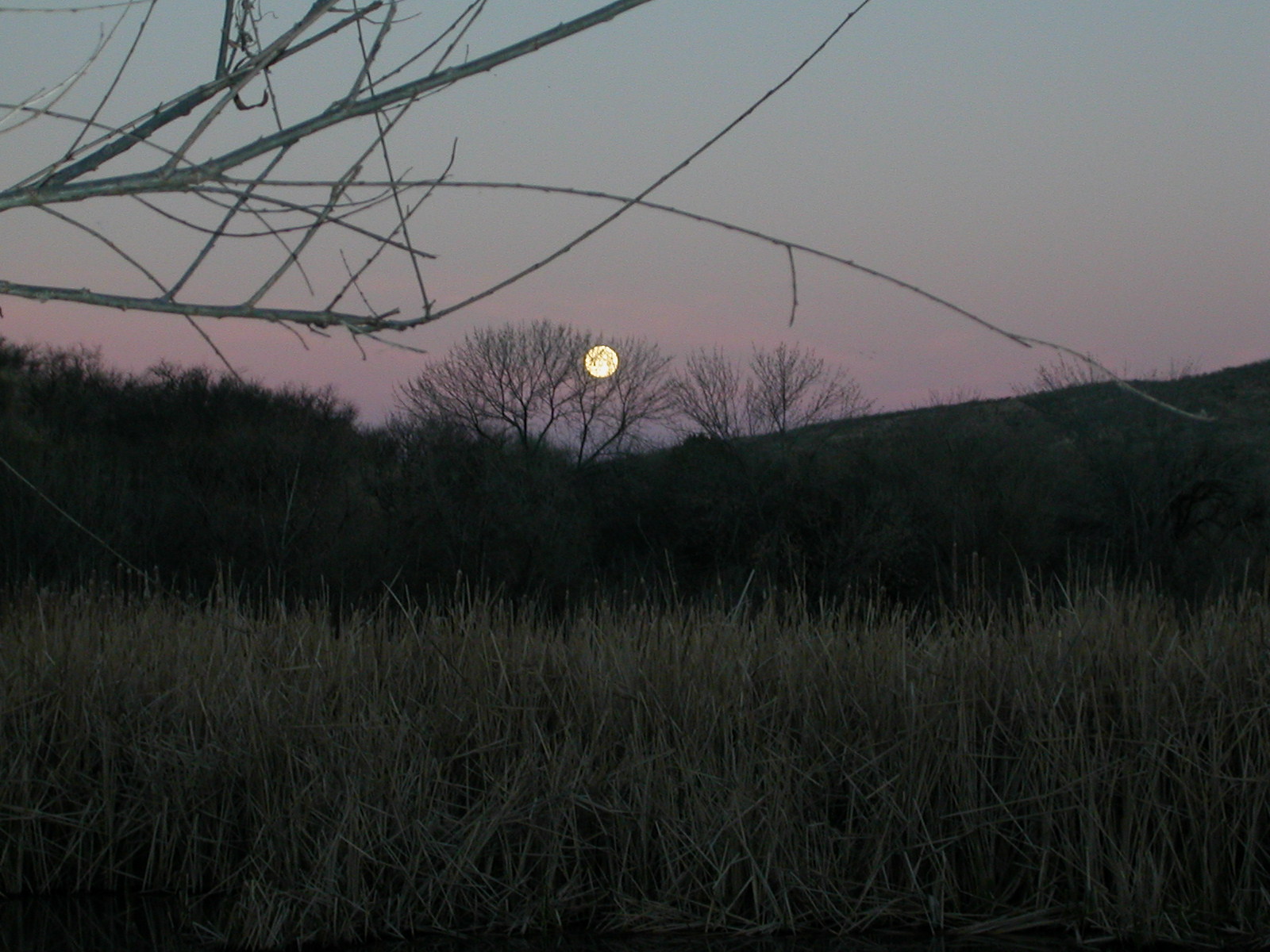 Full moon setting at dawn over Patagonia Lake, AZ