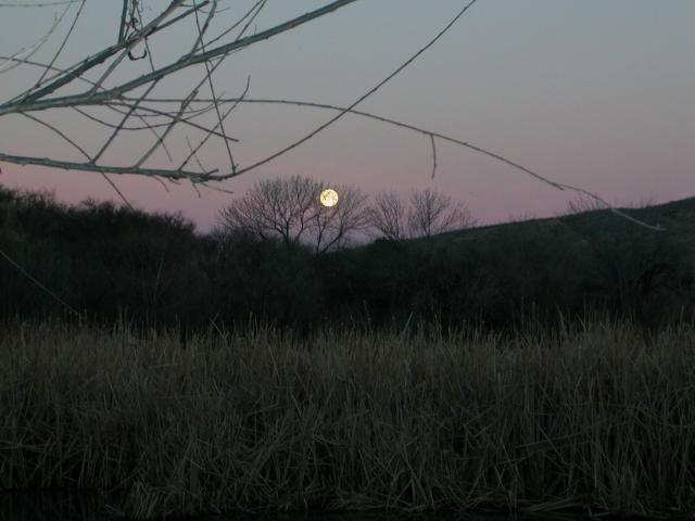 Full moon setting at dawn over Patagonia Lake, AZ